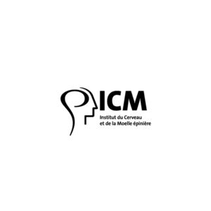 logo icm